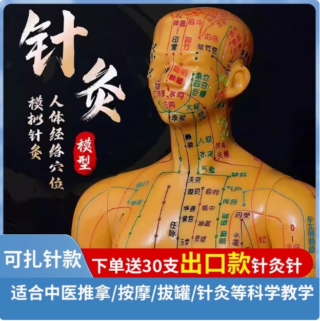 中医针灸人体经络穴位模型教学男女全身十二经络小皮人