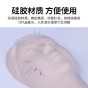 硅胶面部针灸练习模型中医面部穴位脸部扎针微整形练习3D版假人头